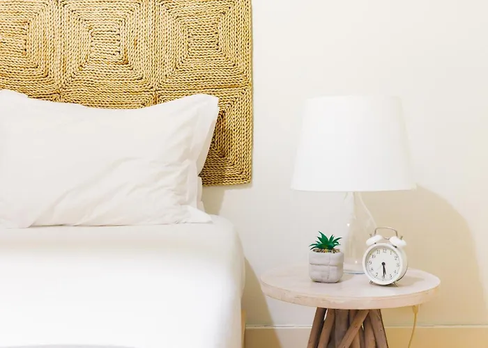 Own Places Cedofeita Appartement