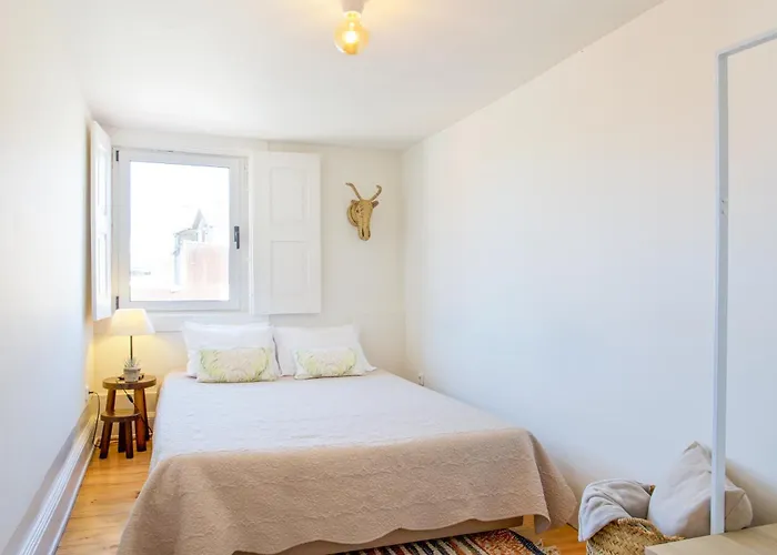 Appartement Own Places Cedofeita Porto
