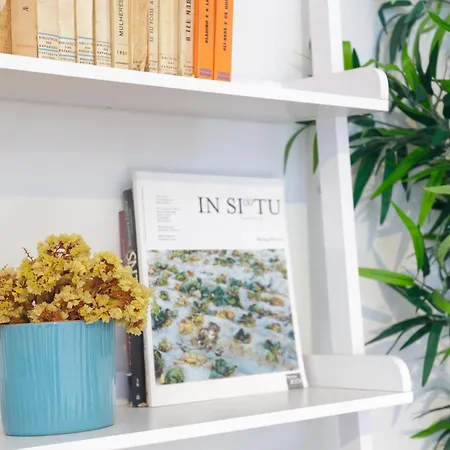 Own Places Cedofeita 波尔图