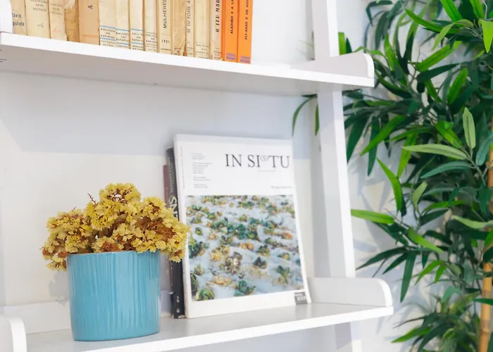 Own Places Cedofeita 波尔图