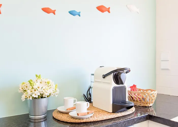 Own Places Cedofeita Апартаменты